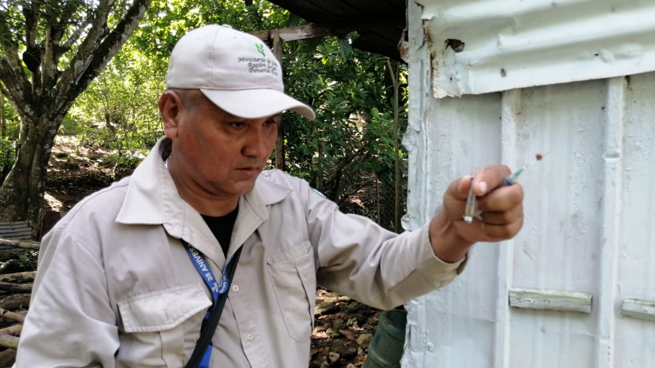 Llamado Urgente Para Eliminar Criaderos Del Aedes Aegypti Panorama