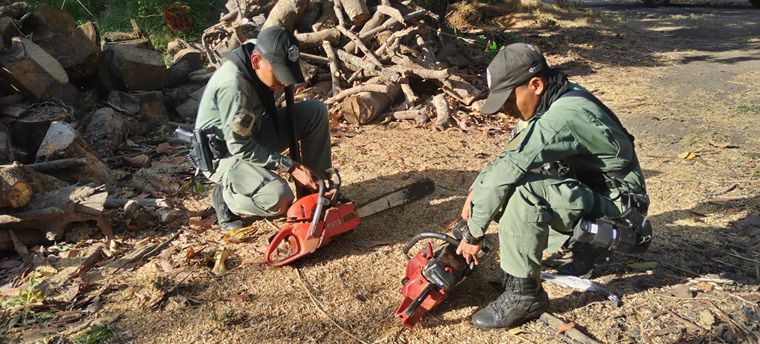 Polic A Ambiental Detecta Casos De Cacer A Ilegal Panorama